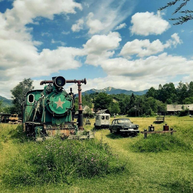 ホテル Gostyniy Dvir Synevir シネヴィル エクステリア 写真